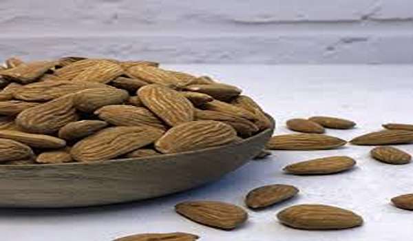 تصویر 4 از قیمت بادام مامایی خام + فروش ویژه